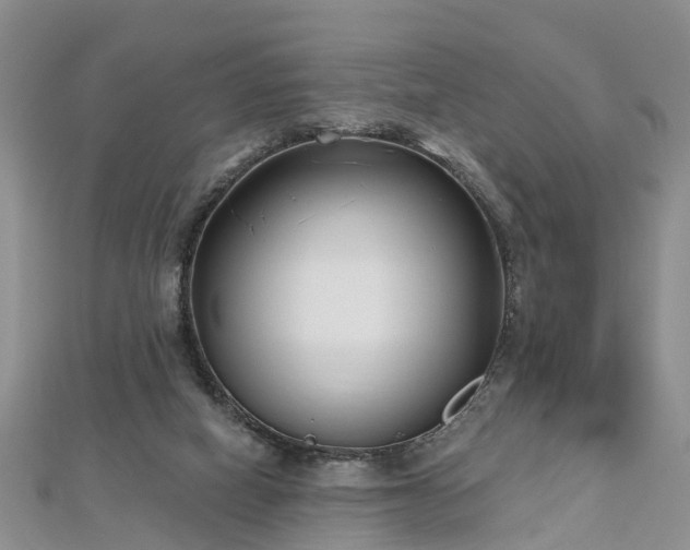 X0000112480066200908241303