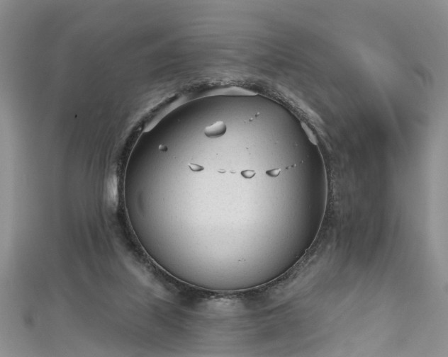 X0000112480067200908241303