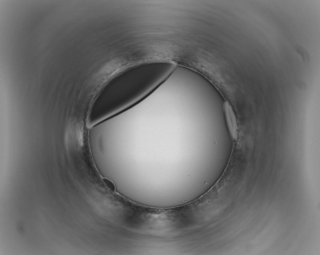 X0000112480068200908241303