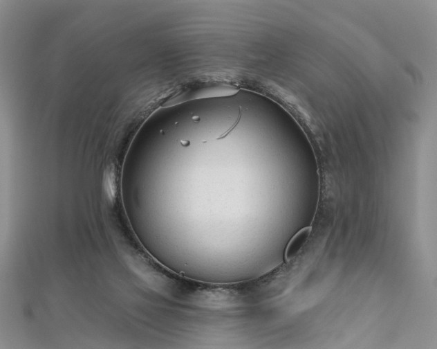 X0000112480069200908241303