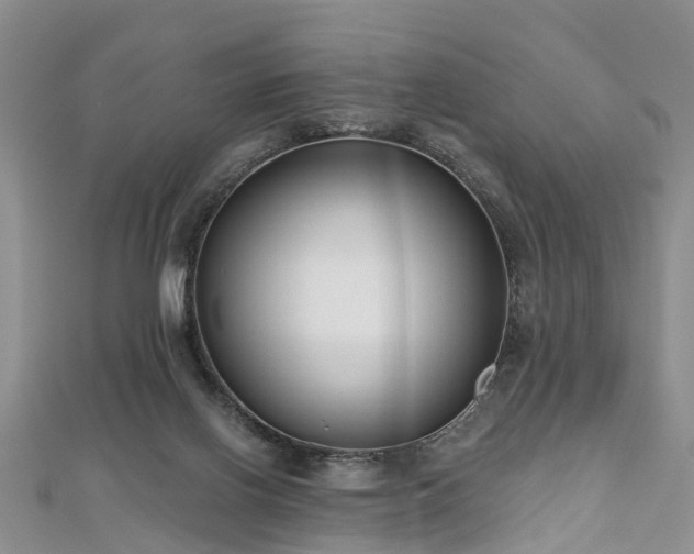 X0000112480070200908241303