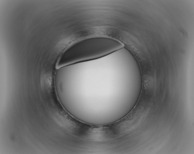 X0000112480072200908241303