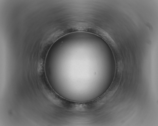 X0000112480073200908241303