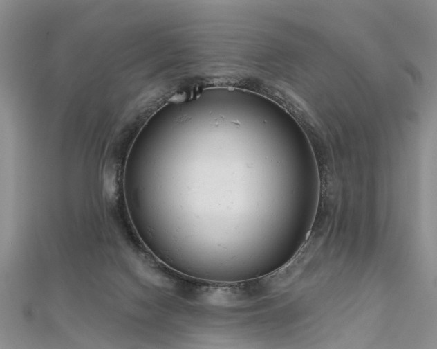 X0000112480074200908241303