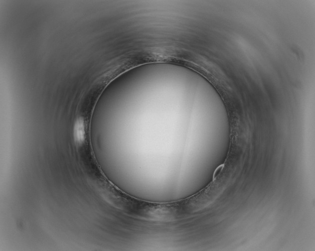 X0000112480075200908241303