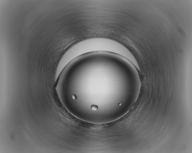 X0000112480076200908241303