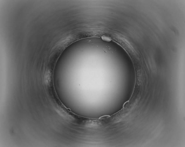 X0000112480077200908241303