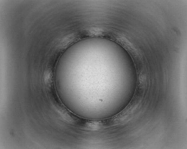 X0000112480079200908241303