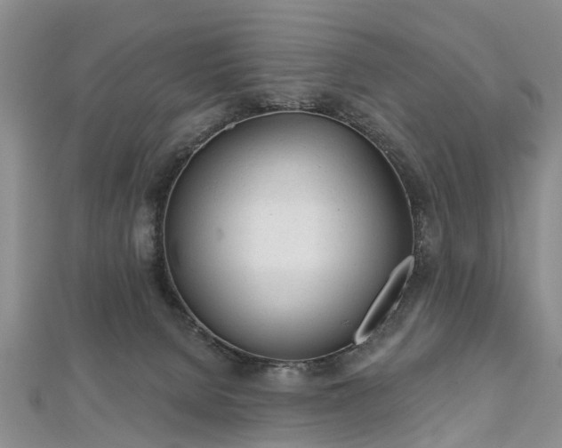 X0000112480080200908241303