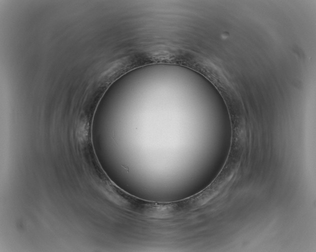 X0000112480081200908241303