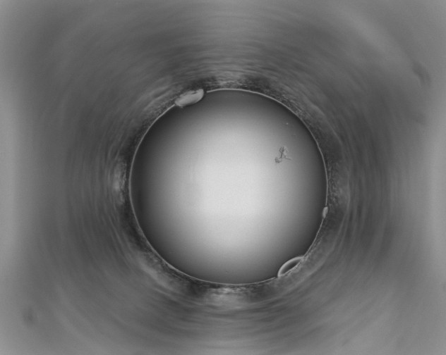 X0000112480082200908241303