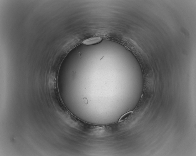 X0000112480083200908241303