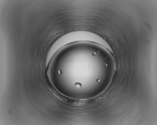 X0000112480084200908241303