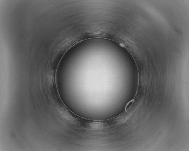 X0000112480085200908241303