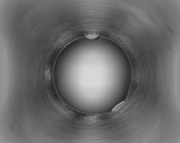 X0000112480086200908241303