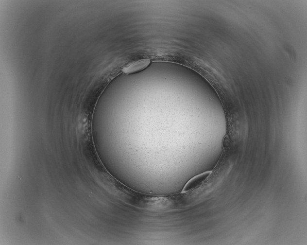 X0000112480087200908241303