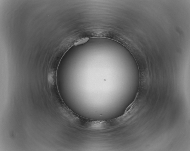 X0000112480090200908241303