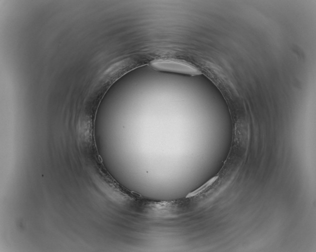 X0000112480092200908241303