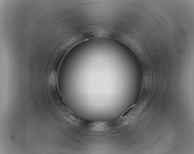 X0000112480093200908241303