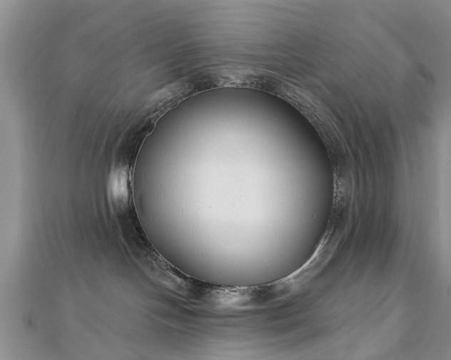 X0000112480094200908241303