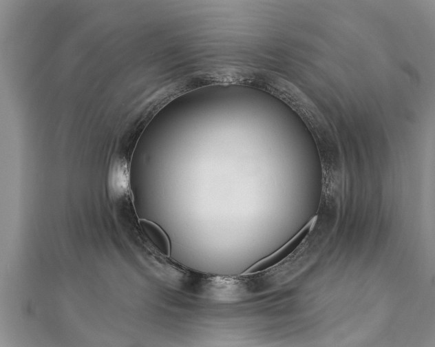 X0000112480095200908241303