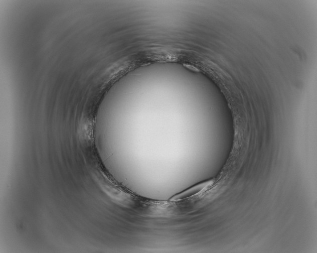 X0000112480096200908241303