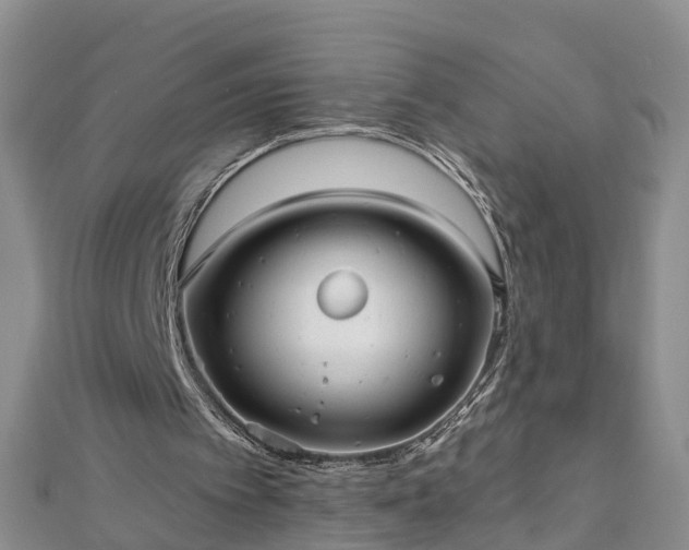 X0000112480097200908241303