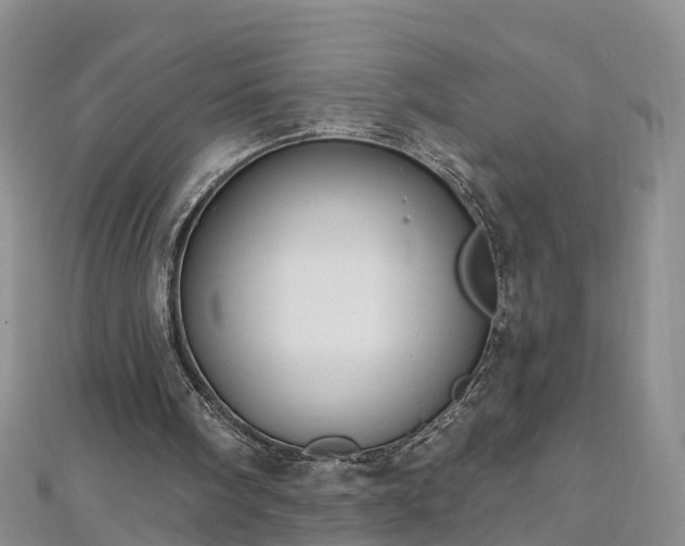 X0000112480098200908241303