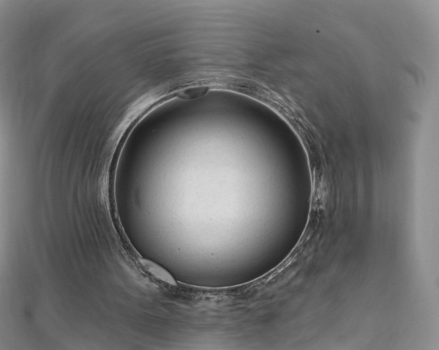 X0000112480099200908241302