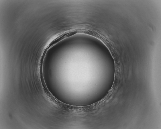 X0000112480100200908241302