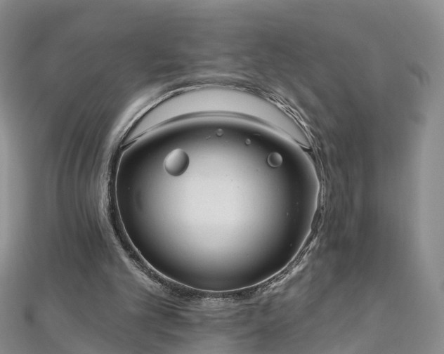 X0000112480101200908241302