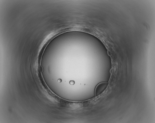 X0000112480102200908241302