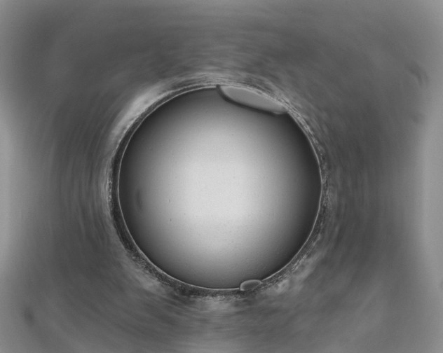 X0000112480103200908241302