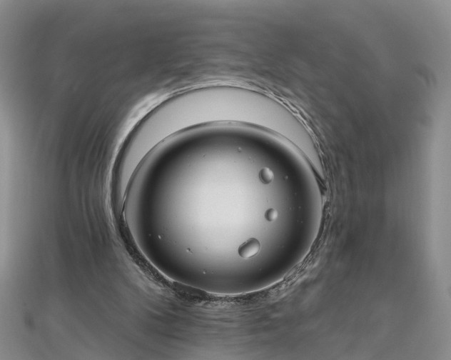 X0000112480104200908241302