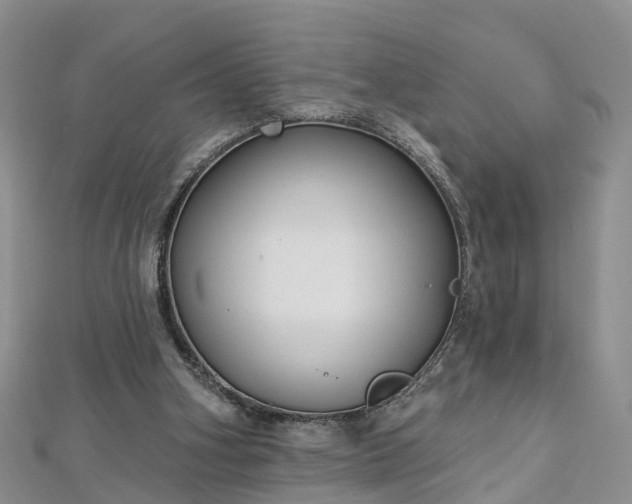 X0000112480106200908241302