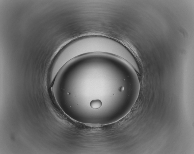 X0000112480108200908241302