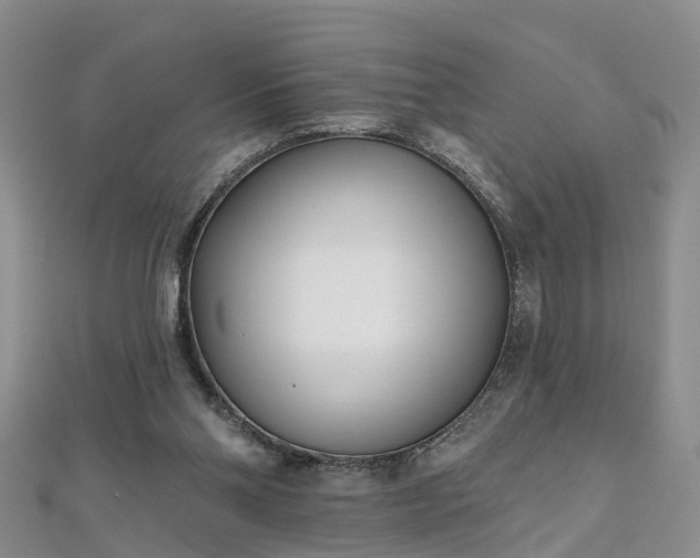 X0000112480110200908241302