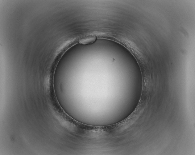 X0000112480112200908241302