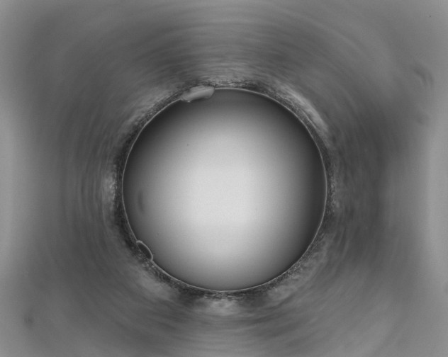 X0000112480113200908241302