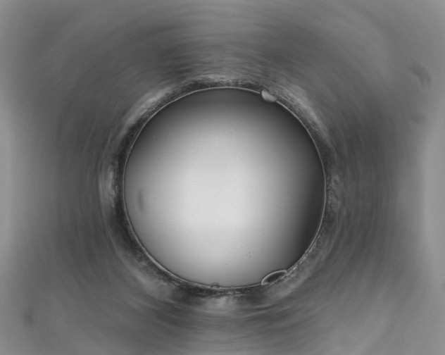 X0000112480116200908241302