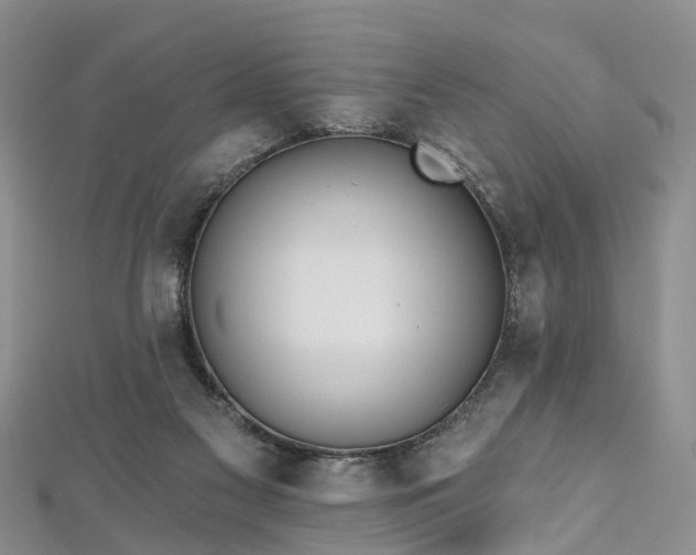 X0000112480117200908241302