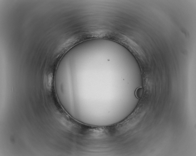 X0000112480118200908241302