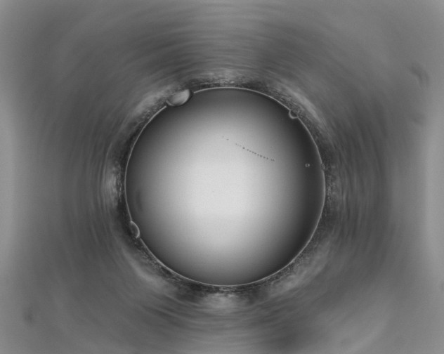 X0000112480119200908241302