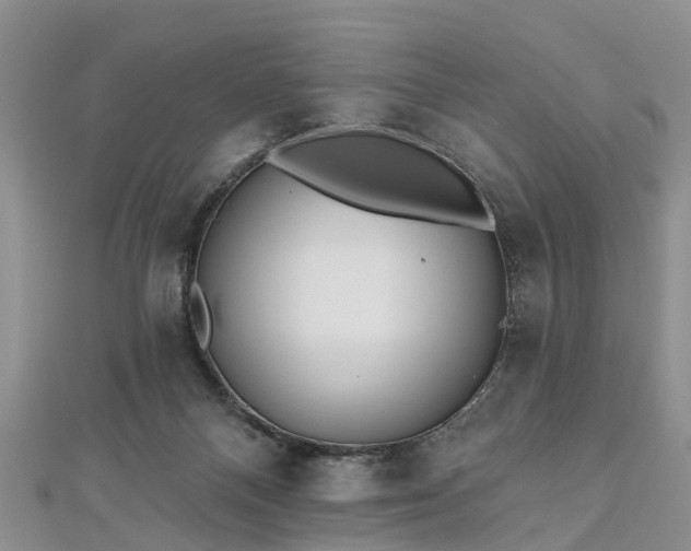 X0000112480120200908241302