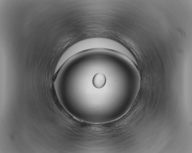 X0000112480121200908241302