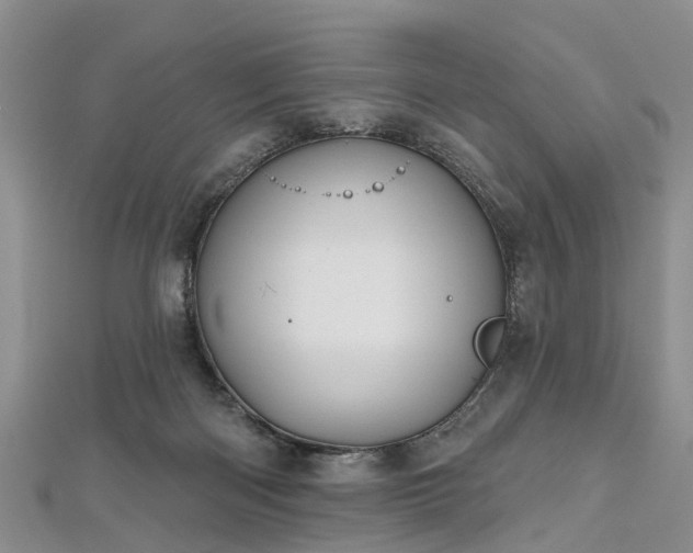 X0000112480122200908241302