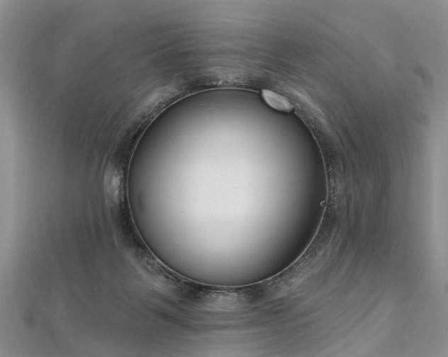 X0000112480123200908241302