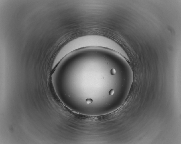 X0000112480124200908241302