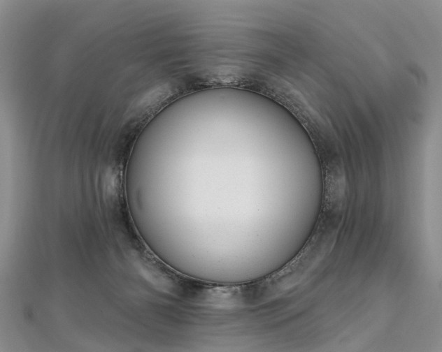 X0000112480126200908241302