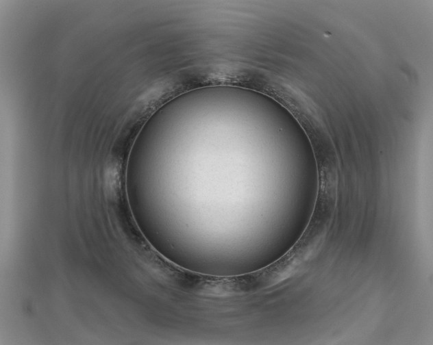 X0000112480127200908241302